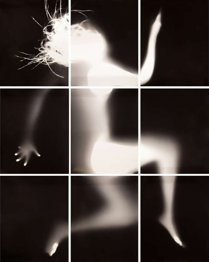 Photogram 1A Sz